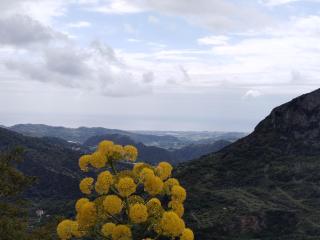 Casa Letizia - 8
