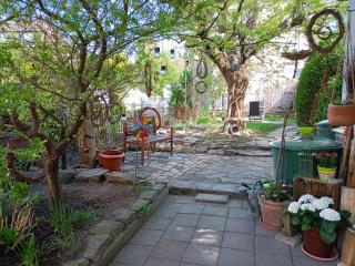 Amitya - Zittau - 3