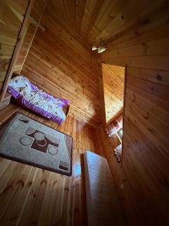 Summer house near the forest - 8