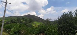 Ooty Heritage villa - 9