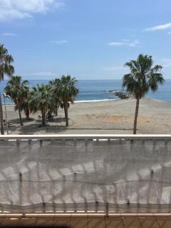Andaluz - 3