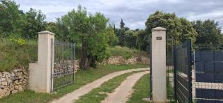 Evadorie - 2