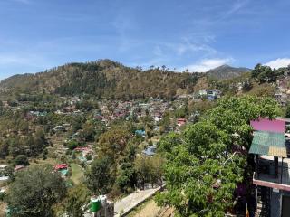 Singh Kainchi Dham Villa - 8