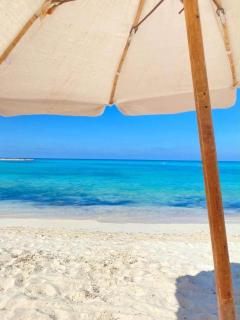 Lazordy bay M12 - 4