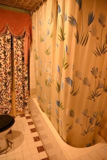 Kings Houseboats - Srinagar - 7