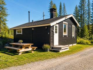 Koselig Hytte i Hemsedal with outdoor Sauna - 0
