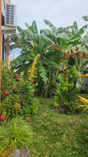 Matemwe Bluu Villa - 3