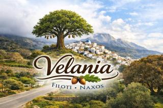 Velania House 2 - 0