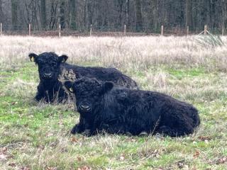 B&B Itterhoeve - 3