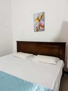 The Pearl House by Beruwala - 2