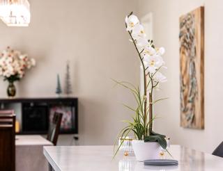 Private River View Home Monthly Rental - 6