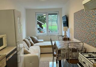 Apartmán LAVANDE - 9