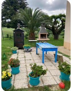 L'albero delle noci - 2