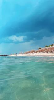 Coral Beach - 5