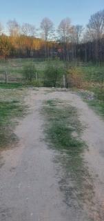 Village in Forest Camper Parking Space - 1