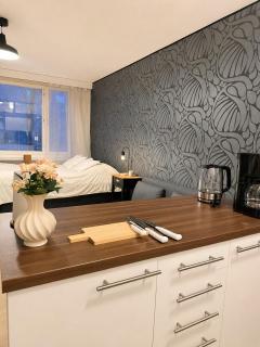 Stylish studio in the heart of downtown, Wi-Fi, Free parking - 8