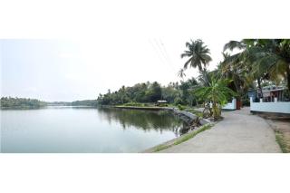 Lake of Alsima Beauty of Ashtamudi Lake - 1