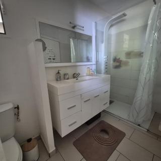 Hébergement tout confort dans domaine tropical à Plaisance Baie-Mahault - 3