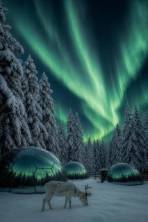 SKOG Aurora Glass Igloos - 0