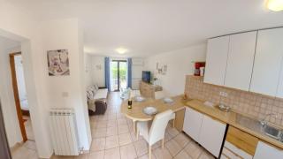 Apartment with pool in epljani near Umag - 1