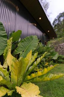 Bachelors Cabin - Bali-Style Cabin Villa with Private Pool in Cebu City - 1