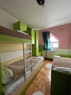 Durmitor nest - 1