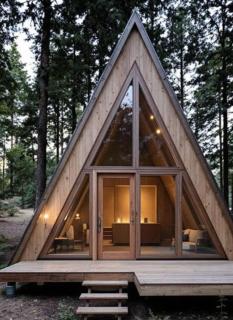 The peak & pine by lake & woods - 0