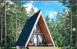 The peak & pine by lake & woods - 9