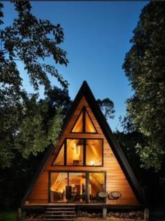 The peak & pine by lake & woods - 2