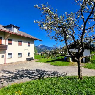 Wohnung in Tiroler Bauernhaus mit Salvenblick - 9