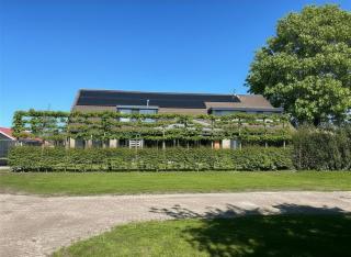 Simmerwille overnachten in de Alde Feanen - Earnewâld - 8