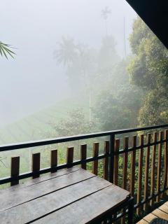 Hill wood nature touch resort - 4