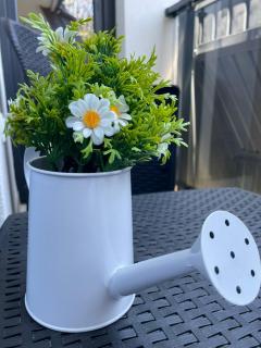 Apartman Lavina Divčibare - 1