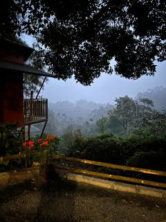 Hill wood nature touch resort - 5