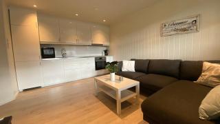 Vetlebekken Apartment close to Trolltunga - 1