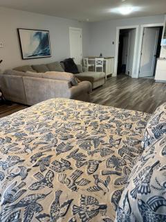 Studio Guest Apartment in Dartmouth - 8