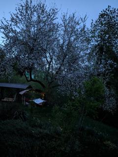 House Menchul - 9
