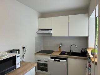 L'anolis - Appartement neuf et calme à 9 min à pied de la plage idéal pour visiter toute l'île - 2