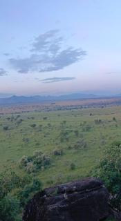 Katurum Kidepo lodge - 1