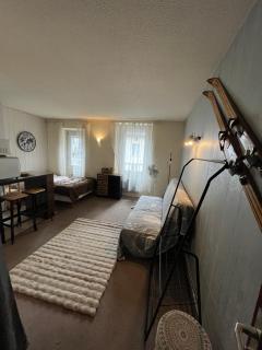 Superbe Logement Bord de rivière-Montagne-Ski-Randonée - 4