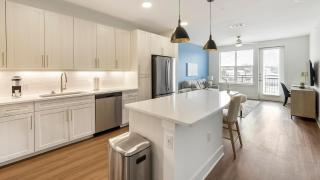 Landing Modern 1BD in Downtown Roanoke - 6