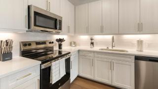 Landing Modern 1BD in Downtown Roanoke - 4