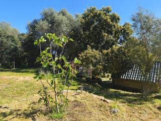 Cabane près d'Ajaccio - 8