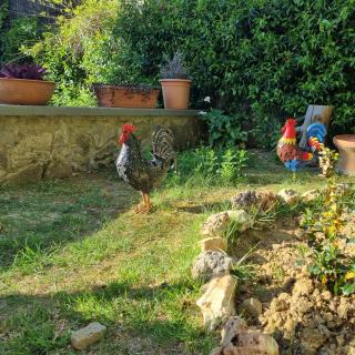 Villa Dina in Gambassi Terme along the Via Francigena - 8