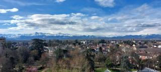 le Voltaire - WIFI & vue Pyrénées - 8