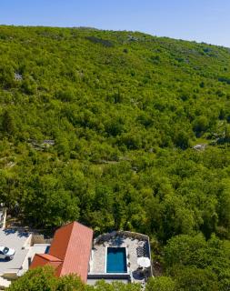 Luxury Villa Andrea Vrzika in forest near the sea with heated pool - 7