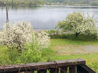 3 person holiday home in BENGTSFORS - 8