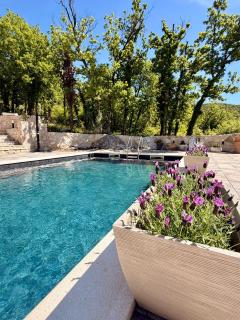 Luxury Villa Andrea Vrzika in forest near the sea with heated pool - 1