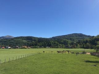 Einzigartig - 7