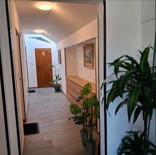 Studio apartmani Atlantik - 0